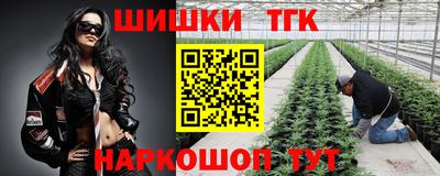 дживик Новодвинск