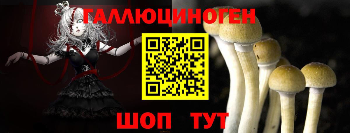 Псилоцибиновые грибы мухоморы  Вход с VPN  Дальнегорск 